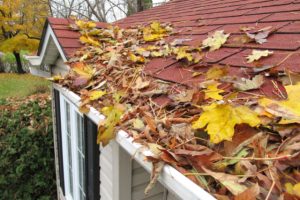 Home Maintenance Clearing Gutters